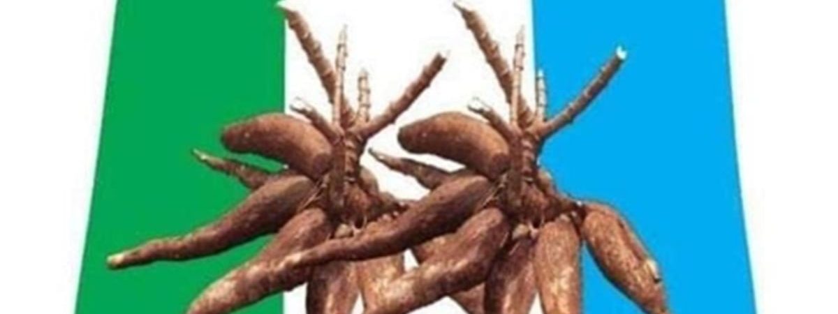 APM Tackles Tinubu Again, Accuses Presidency of ‘Autopilot’ Governance