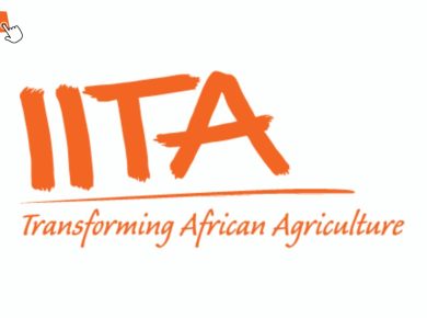 APPLY: IITA Graduate Internship Program 2026